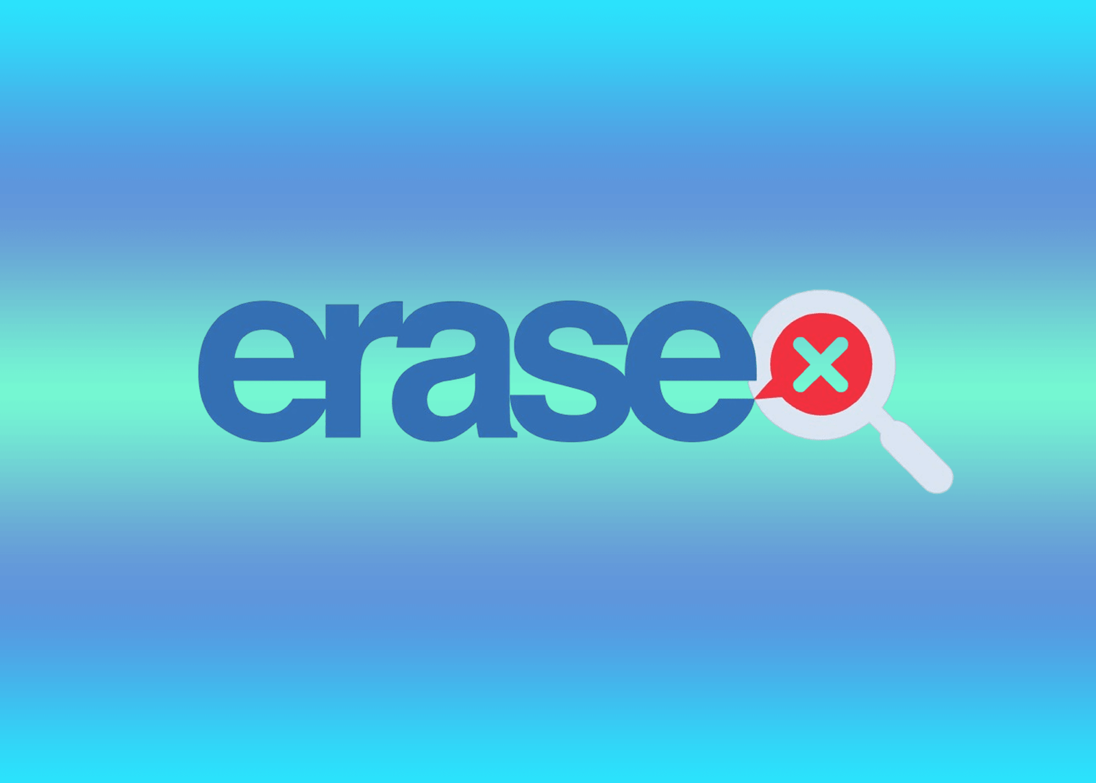 Erase.com: Best Online Reputation Management Companies 