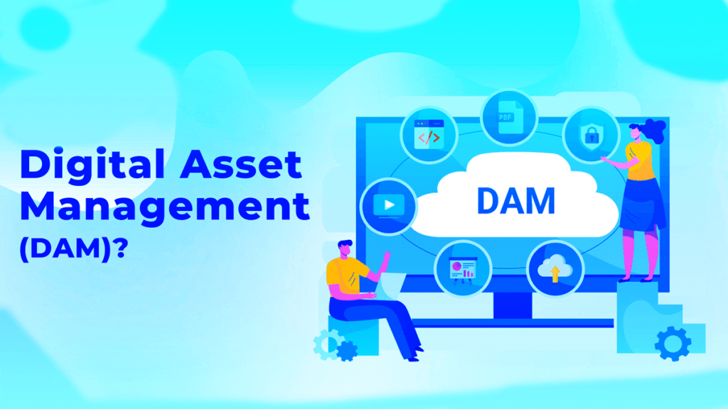 13 Best Digital Asset Management Software in 2026 Easy Steps