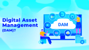 13 Best Digital Asset Management Software in 2026 Easy Steps