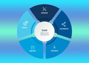 Best Digital Asset Management Software
