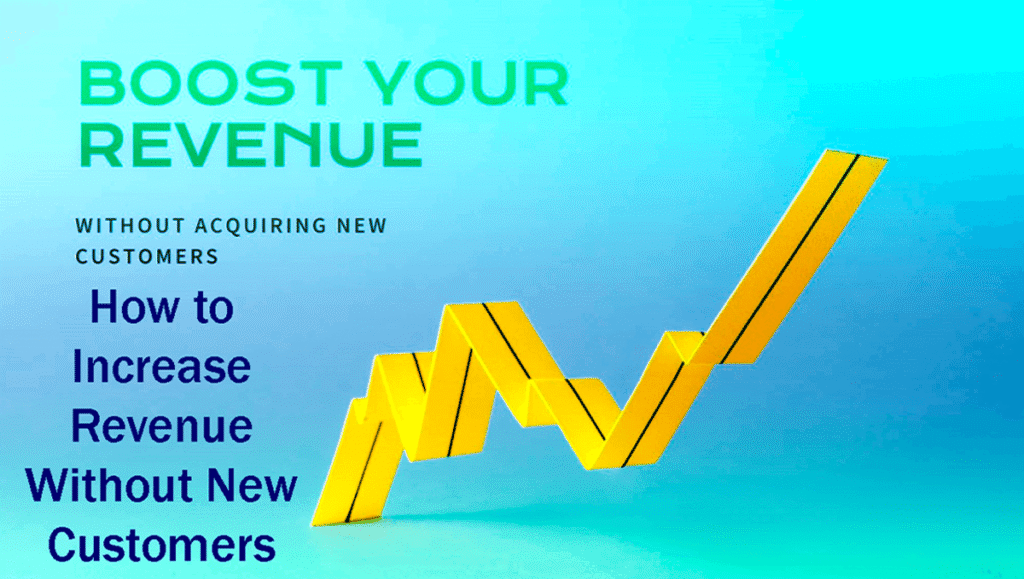 How To Increase Revenue