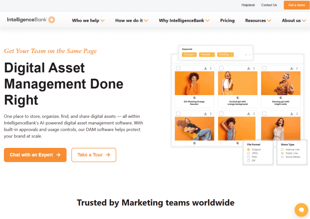 13 Best Digital Asset Management Software In 2026 Easy Steps 7 Intelligencebank Best Dam Software For Creative Teamwork
