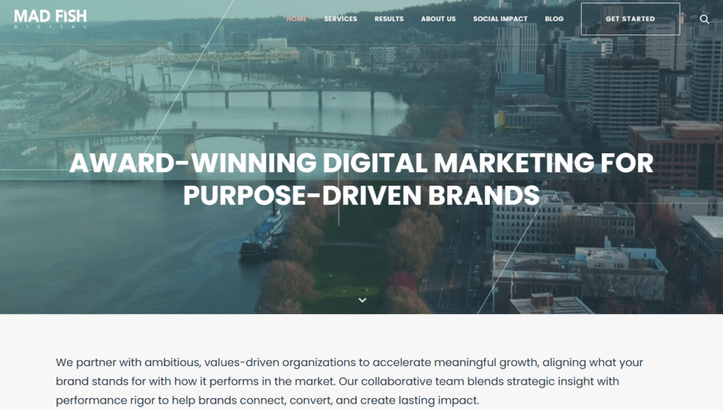 Top 15 Best Digital Marketing Agencies In 2026: Easy Steps 9 Mad Fish Digital Best For Nonprofits And Socially Conscious Brands