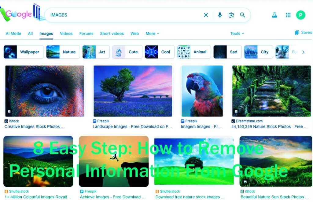 8 Easy Step How To Remove Personal Information From Google