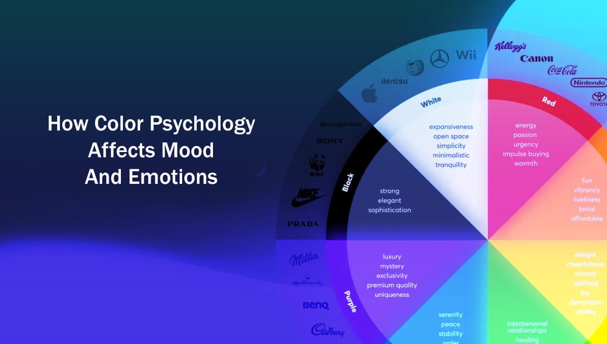 Human Behaviour Color 5 Easy Steps: How Color Psychology Affects Mood And Emotions