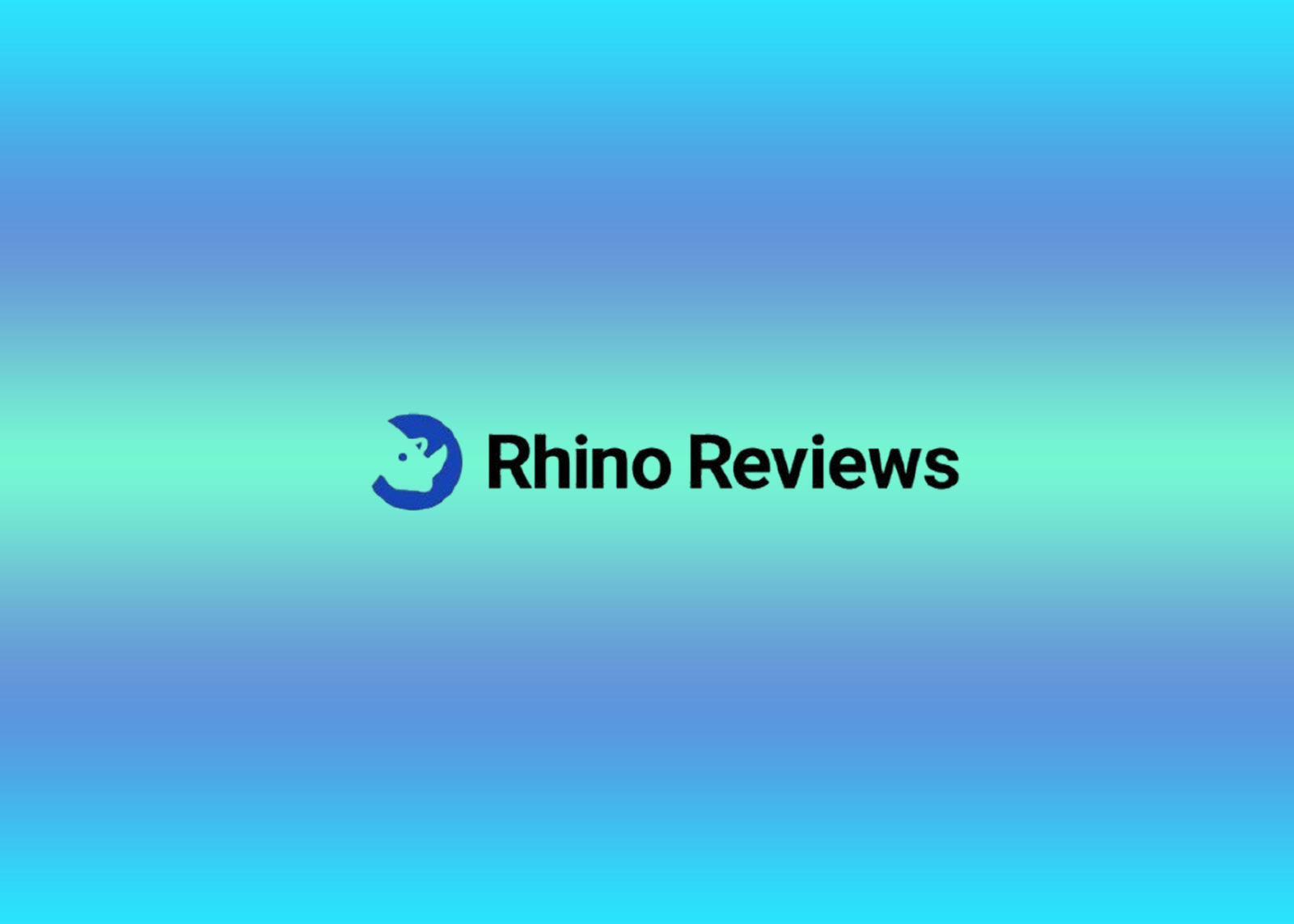 Rhino Reviews: Best Online Reputation Management Companies